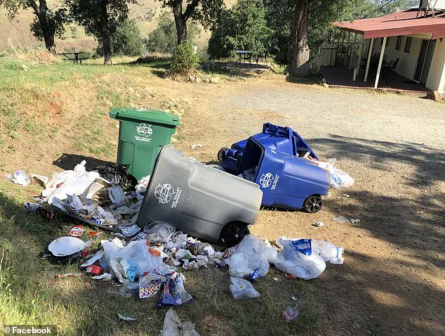 Unveiling the Hidden Trash Crisis: How Airbnb's Short-Term Rentals Are Overwhelming Three Rivers, California