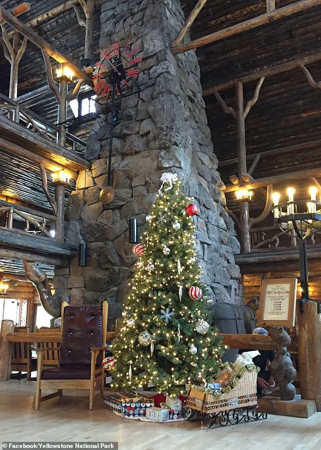Yellowstone National Park Celebrates Christmas Twice a Year: August 25 and December Events