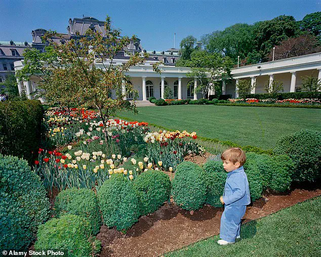 Donald Trump Re-elected: A New Chapter in the Oval Office