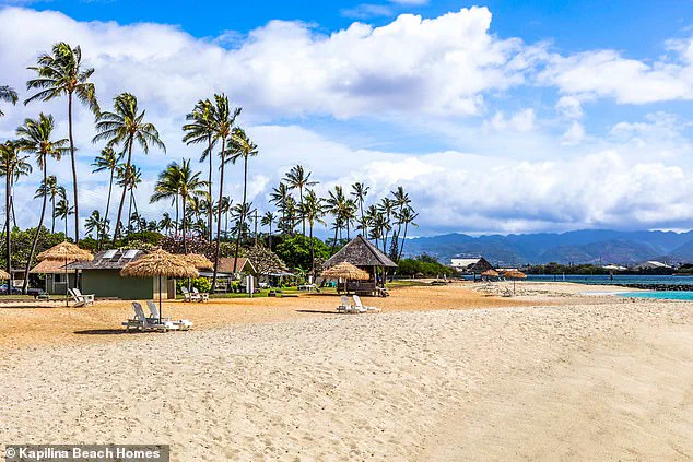 Hawaii Lifeguard's Harrowing Escape from Shooting Prompts Renewed Discussions on Gun Control and Public Safety Protocols