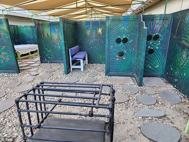 Exotic Dream Resort Asks $10.5 Million, Calling It an 'Adult Play Maze' Amid Controversy