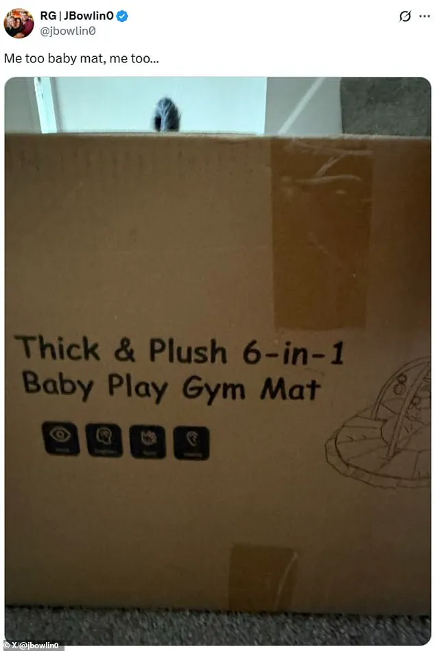 Conjoined Twins Abby and Brittany Hensel's Latest Moment: A Symbol of Everyday Triumphs