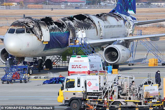 TSA Warns Travelers: Electric Toothbrushes With Lithium Batteries Must Be in Carry-On Bags to Avoid Safety Hazards