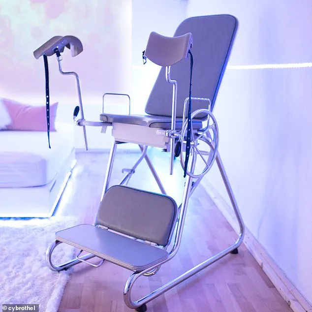 The Emergence of Immersive Cyber Brothels in Europe: A New Frontier for Regulation and Technology