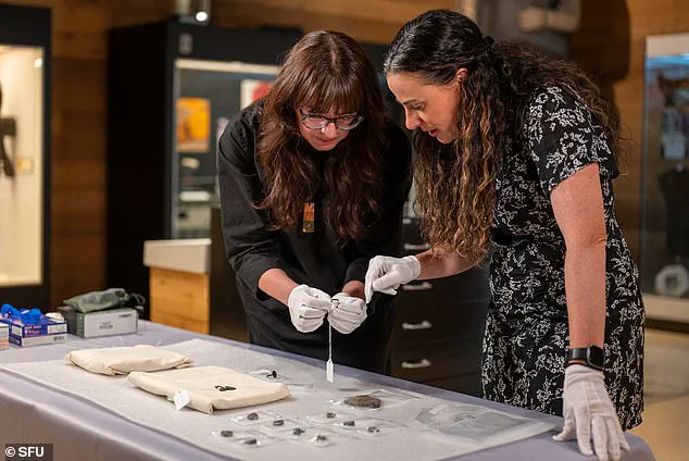 Ancient Artifacts Found in Canadian Thrift Store Ignite Archaeological Excitement