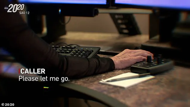 A Mother's Final Plea: Denise Amber Lee's 911 Call Resurfaces in Florida a Decade Later