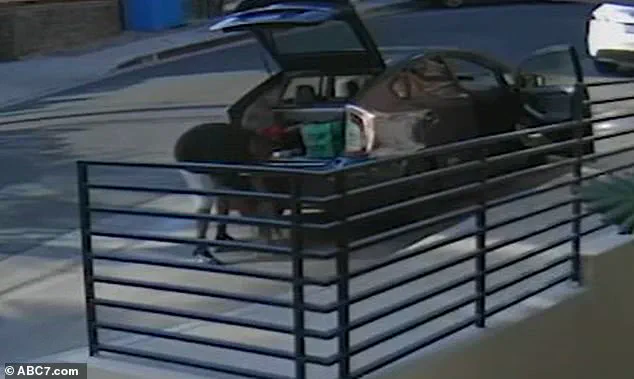 West Hollywood Food Delivery Driver Accused of Stealing Customer's Cat in Shocking Incident