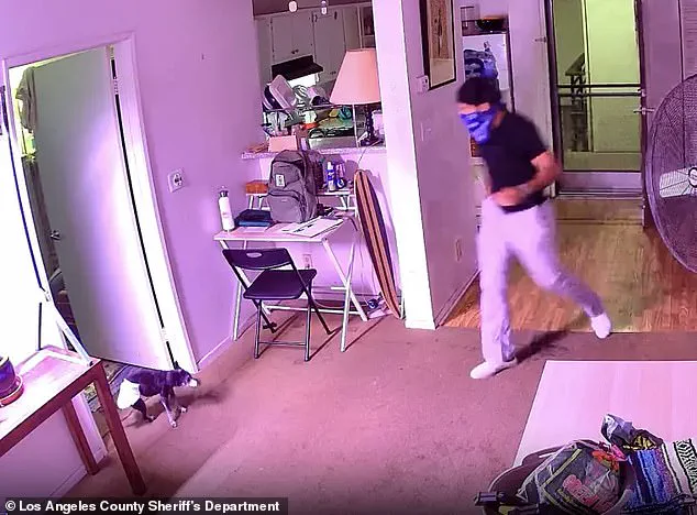 West Hollywood Food Delivery Driver Accused of Stealing Customer's Cat in Shocking Incident