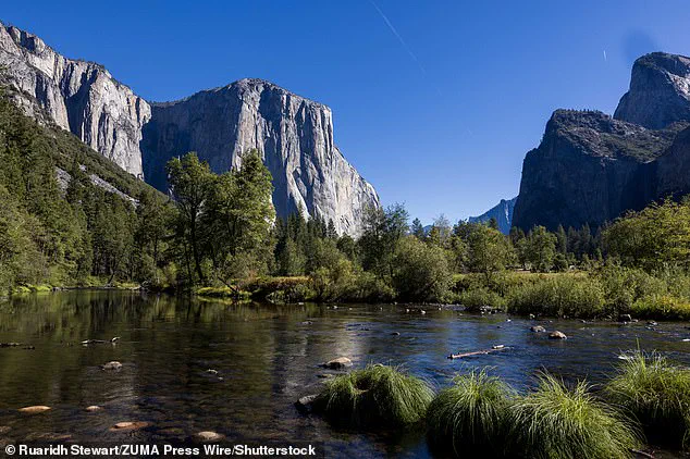 Yosemite National Park in Disarray as Shutdown Enables Surge in Unauthorized Activity, Officials Warn