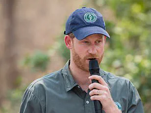 Chad's Environment Ministry Accuses Prince Harry's African Parks of Neocolonialism Amid Partnership Termination
