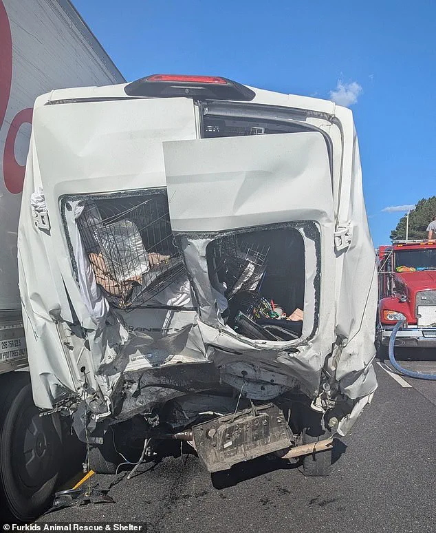 Eight Dead in Georgia Interstate 85 Pileup After Semi-Trailer Collides with Van