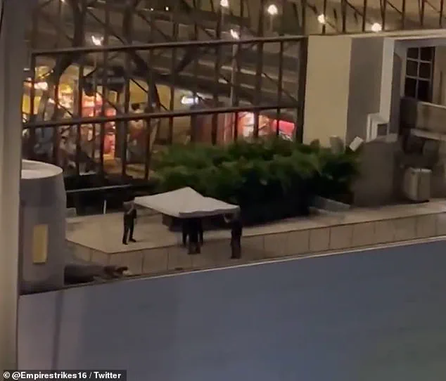 Tragic Loss of Disney Superfan Summer Equitz: 'It\'s a Heartbreaking Reminder of the Struggles Behind the Magic,' Says Orange County Sheriff's Office