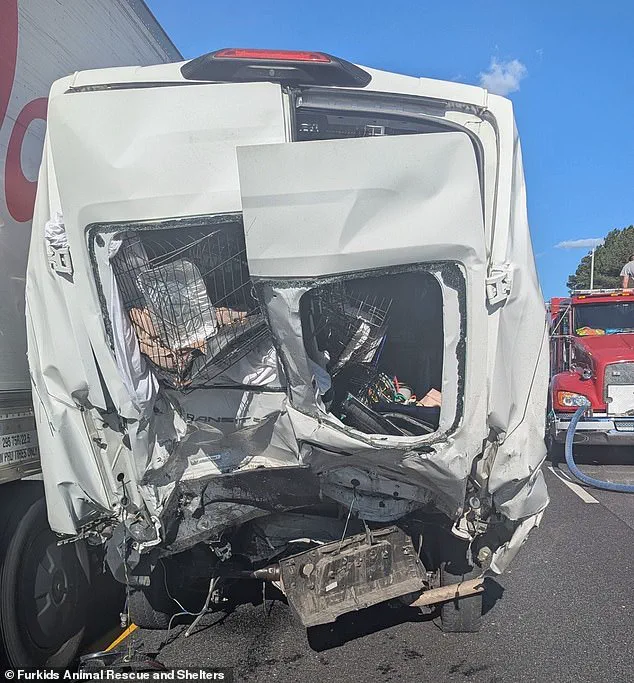 Truck Driver Charged with Eight Counts of Vehicular Homicide After Fatal I-85 Collision