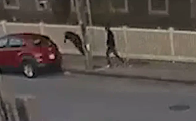 Brutal Assault on Fall River Mayor Outside Cannabis Dispensary Raises Community Safety Questions