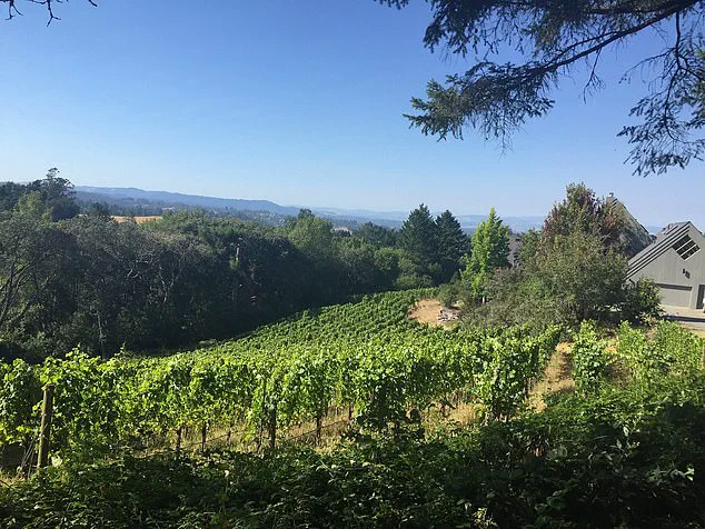 Clerical Error Sparks Controversy as Sebastopol Resists Fast-Food Expansion