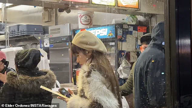 Deportation of Influencer Highlights Government Crackdown on Service Theft in New York