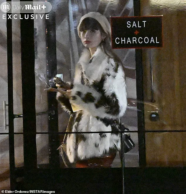 Deportation of Influencer Highlights Government Crackdown on Service Theft in New York