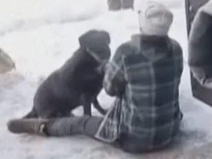 Minneapolis Mayor Frey's Live TV Outburst Sparks Controversy Over Immigration Enforcement Practices