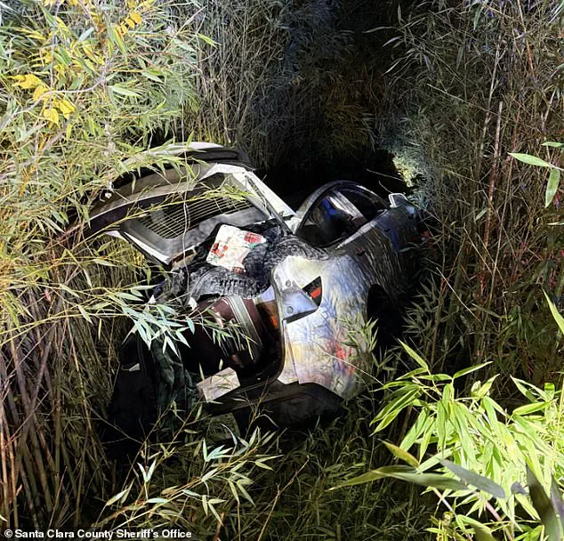 Silicon Valley Entrepreneur Vikram Beri Arrested in Napa Valley Winery Incident