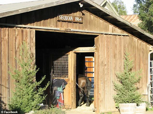 Silicon Valley Entrepreneur Vikram Beri Arrested in Napa Valley Winery Incident