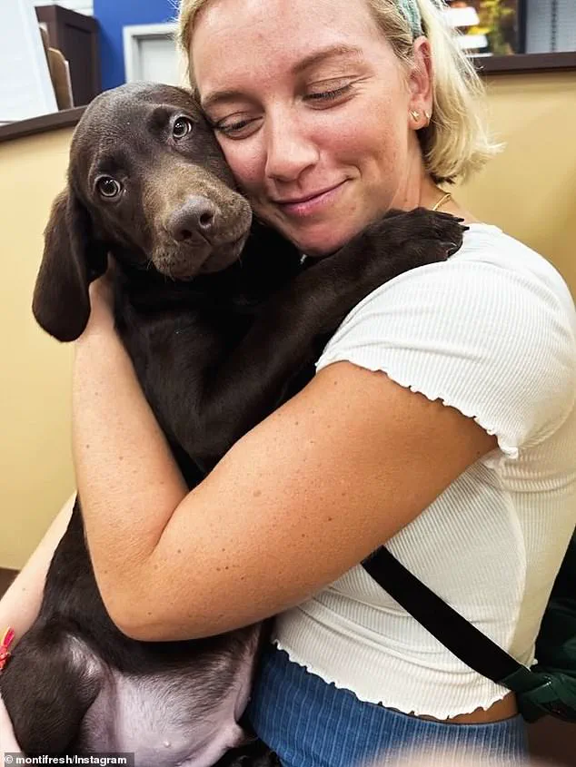 Pittsburgh Electrocution Sparks Citywide Investigation, Reigniting Safety Concerns