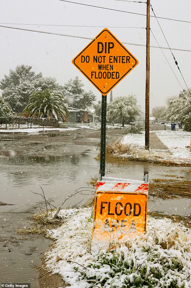 Arizona's Quirky Traffic Laws: From Hidden Fines to Walmart Parking Lot Nights