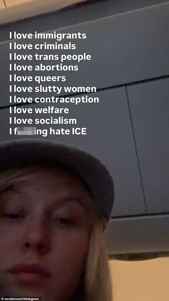 Zara Larsson Criticizes ICE and Aligns with Diverse Advocacy Groups in Social Media Posts