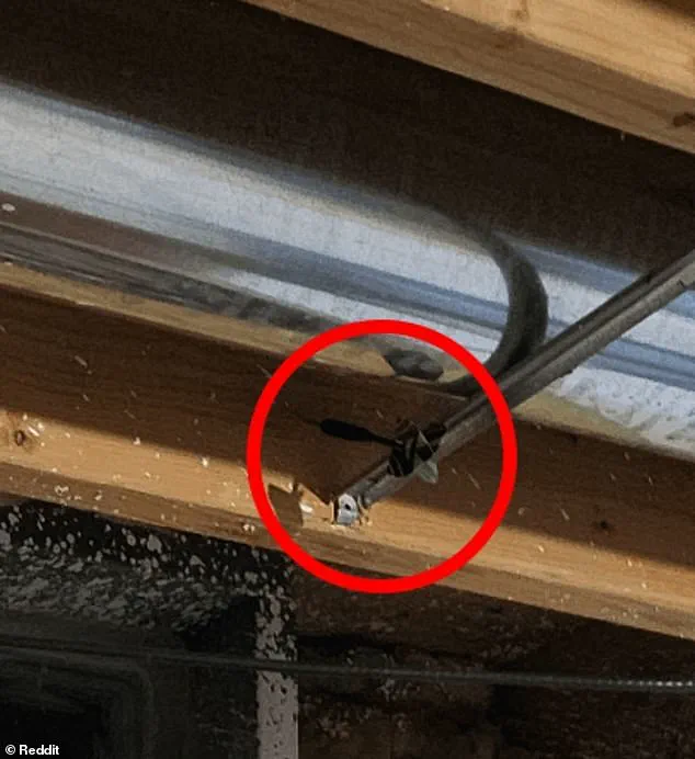 Reddit's r/FindTheSniper Grapples with Mysterious Photo Challenge: 'Can You Spot the Third Dart That Isn't on the Board?'