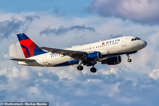 Delta Airlines Mother's Viral Photo Sparks Controversy Over Travel Policies and Parenting