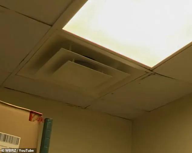 Urgent: Wendy's Workers in Louisiana Report Hazardous Conditions: Black Mold, Flooding, and Corporate Neglect Spark Immediate Crisis