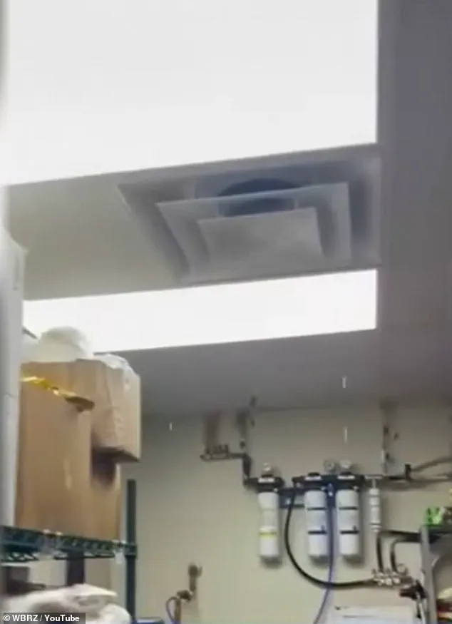 Urgent: Wendy's Workers in Louisiana Report Hazardous Conditions: Black Mold, Flooding, and Corporate Neglect Spark Immediate Crisis