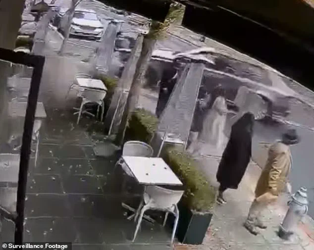 Napa Valley Powerbroker Claims SUV Accelerated on Its Own in Hit-and-Run Crash That Injured Two Women