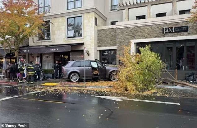 Napa Valley Powerbroker Claims SUV Accelerated on Its Own in Hit-and-Run Crash That Injured Two Women