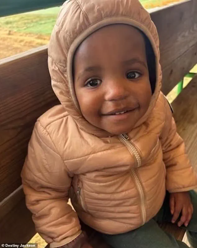 Minneapolis Violence: Federal Agents' Tear Gas Injures Family, Including Six-Month-Old Infant