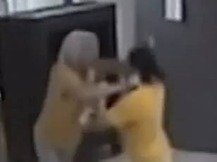 Legal Firestorm Erupts After Violent Scuffle Between Democratic Lawmakers at Bellefontaine Town Hall Meeting