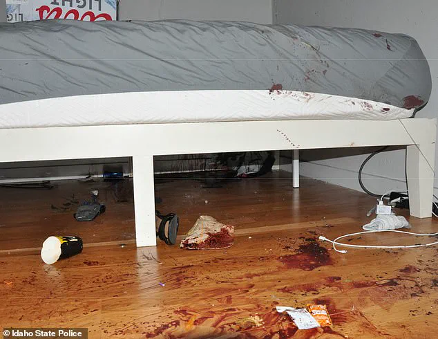 Government Regulations and Public Access to Crime Scene Evidence: The Idaho Murders Case