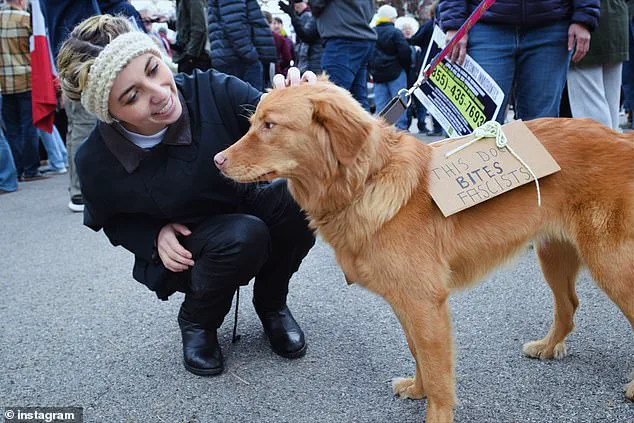Limited Transparency on Health Issues Sparks Scrutiny Over Palestinian-American Candidate's Eligibility