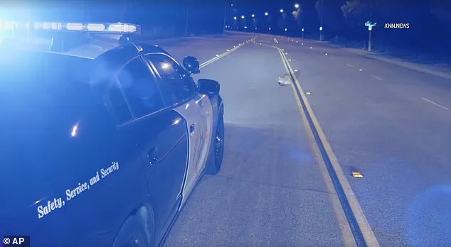 Mountain Lion Cub's Unusual Appearance on LA Road Sparks Community Safety Concerns