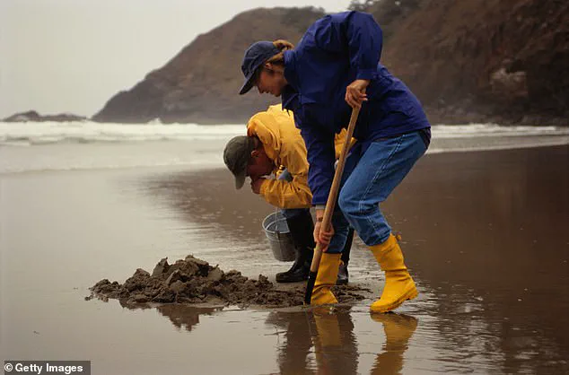 Privileged Access: The Hidden Cleanup Behind Boston Harbor's Reopening