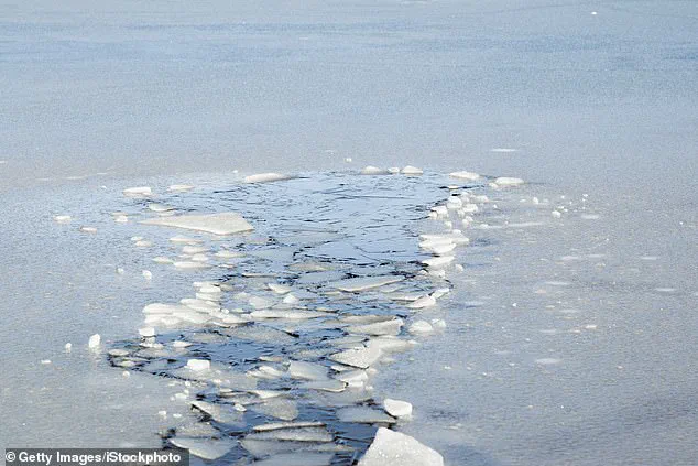 Limited Access to Privately Owned Pond Linked to Fatal UTV Crash in Westphalia Township