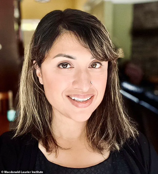 Ontario Report Sparks Debate on MAiD Safeguards After Controversial Euthanasia Case