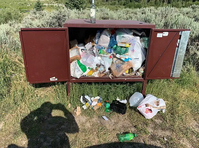 Delta Lake's Transformation: The Tension Between Preservation and Growing Popularity in Grand Teton National Park