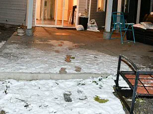 Idaho State Police Face Backlash After Releasing and Removing Graphic Crime Scene Photos from University of Idaho Murders