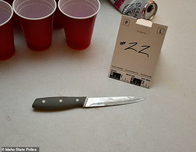 Bryan Kohberger Pleads Guilty to 2022 Idaho Murders of Four University Students on July 2, 2025