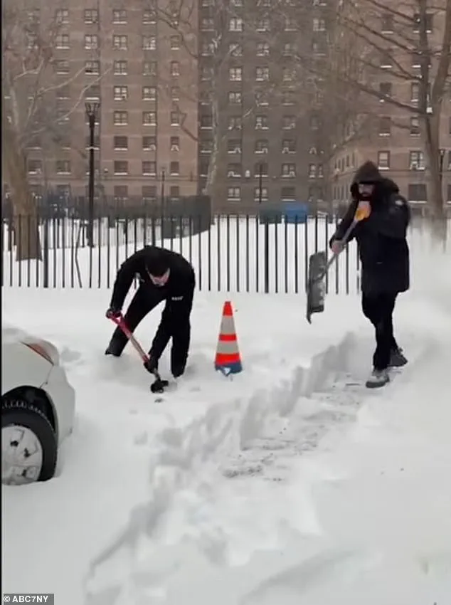 Winter Storm Fern Tests New York's Resilience as Brooklyn Battles Historic Blizzards