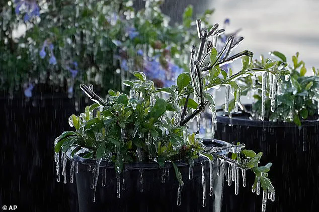 Winter Storm Gianna: Bomb Cyclone Threatens Southeast US with Record Cold, Snow, and Ice Disruptions