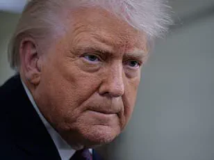 Dual Focus on Immigration Crackdowns and Assertive Foreign Policy Sparks Controversy