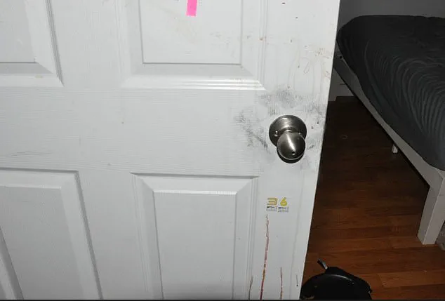 Idaho Murders Trial Leaves Questions Unanswered Despite Plea Deal and New Crime Scene Photos