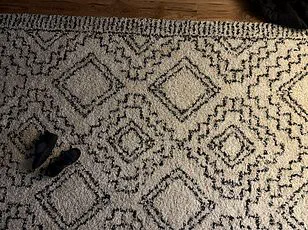 Viral Reddit Challenge Asks Users to Find Hidden Orange Cat in Snowy Backyard Photo