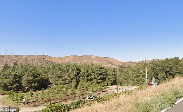 Gold Oak Ranch: Disney's Secret Hub of Innovation